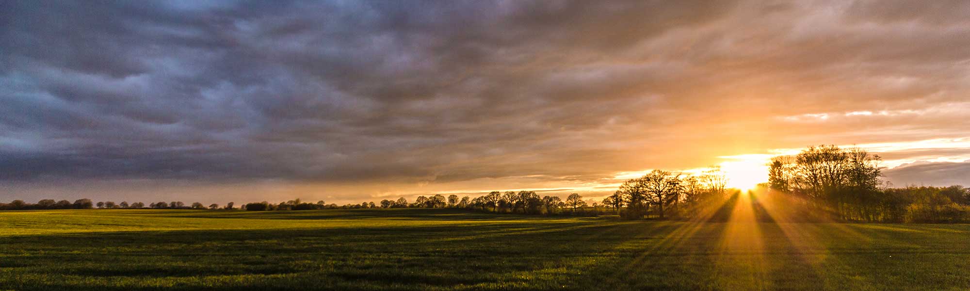 Aenean quis massa uada